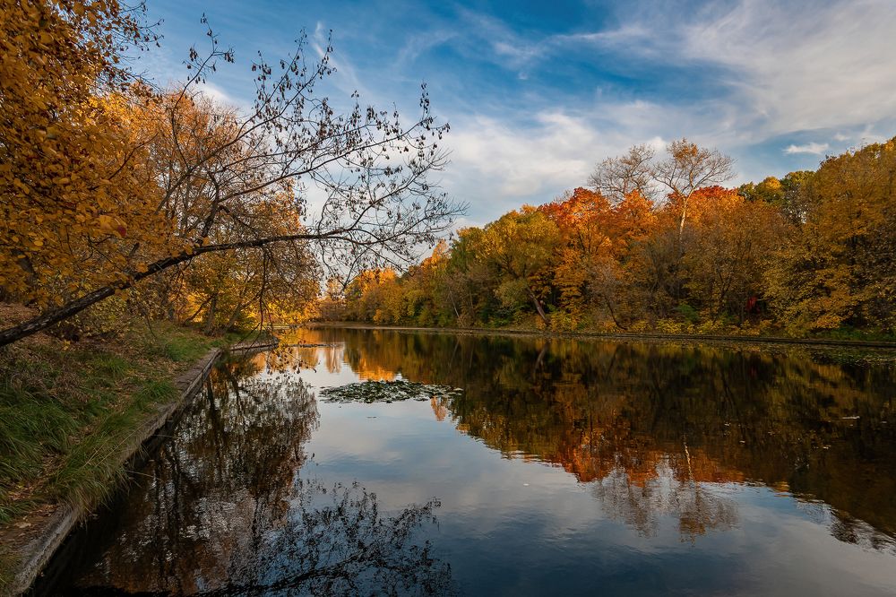 Фотография автора Дмитрий Потапов