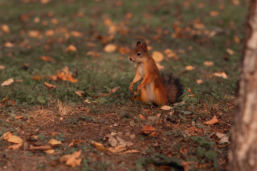 Photograph by Юлианна Волкова