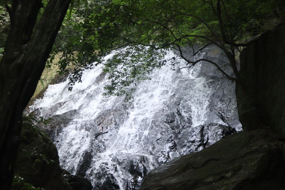 Фотография автора Atul Robin Hans