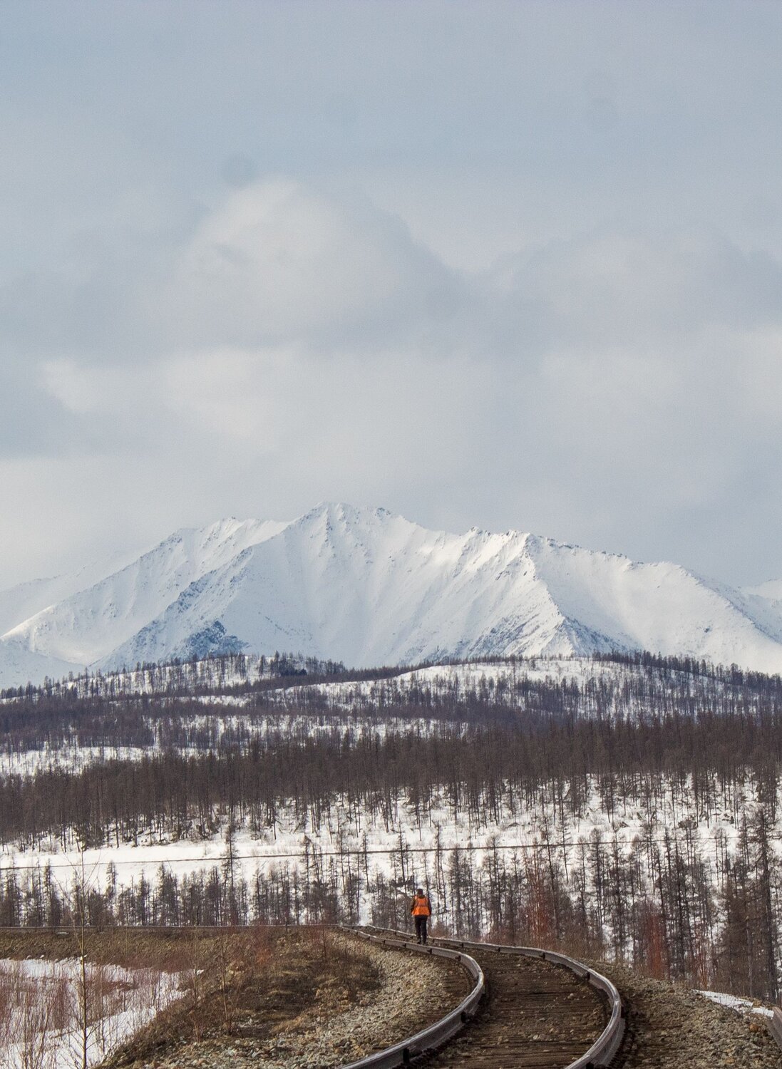 Photo #9625348
