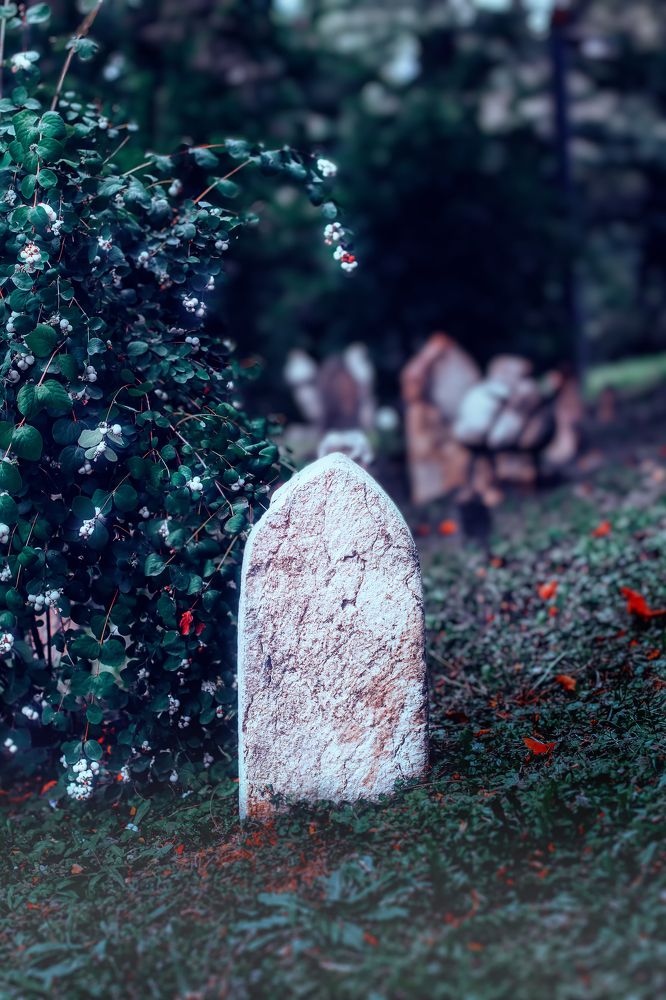 Photograph by Lana Soldatova