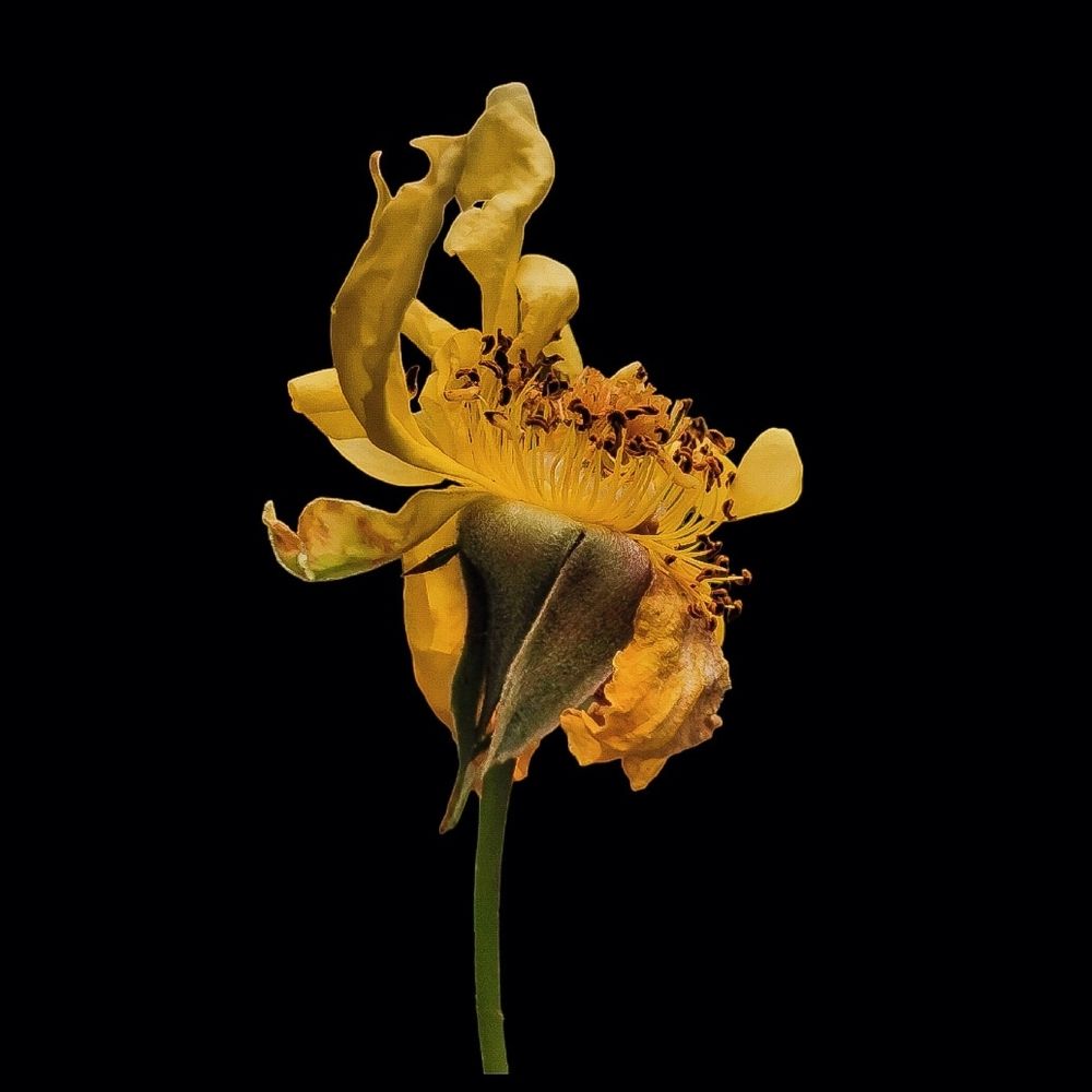 Photograph by Nikolett Mengyi