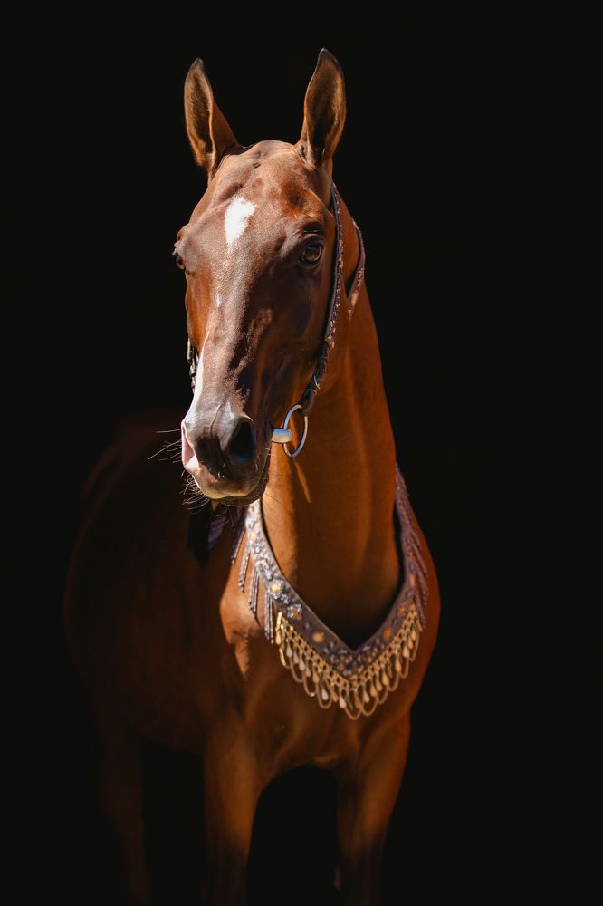 Photograph by Ирина Голомако