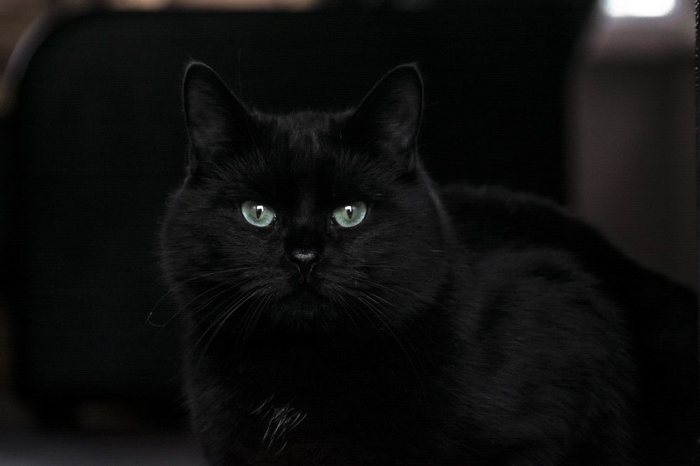 Photograph by Людмила Прибылова