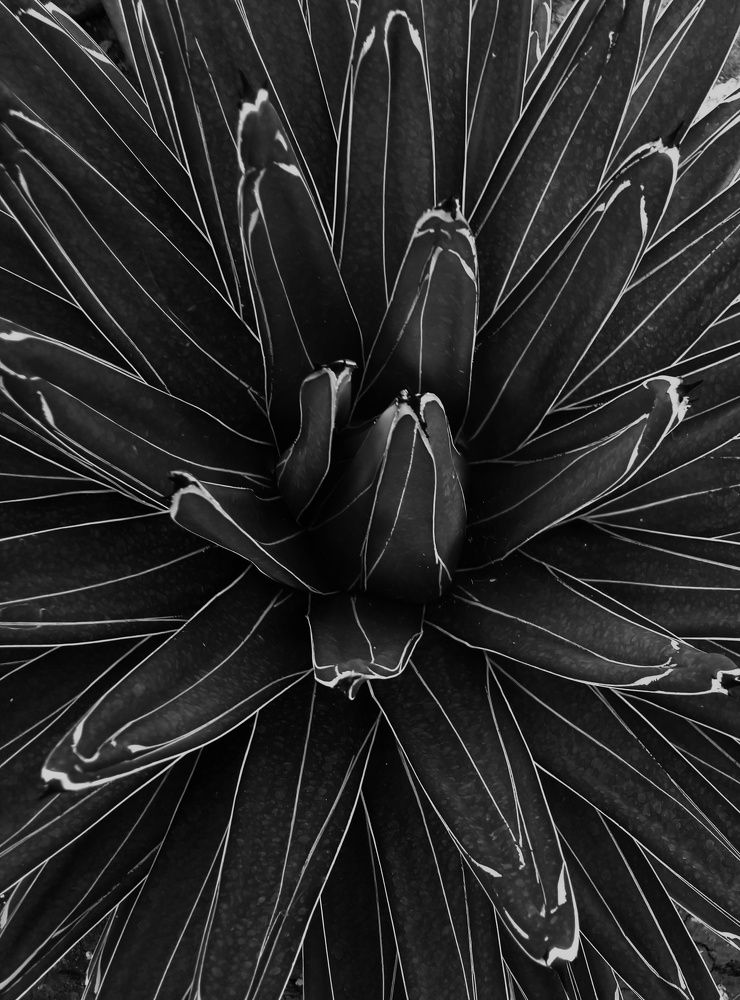 Photograph by Анна Матецкая