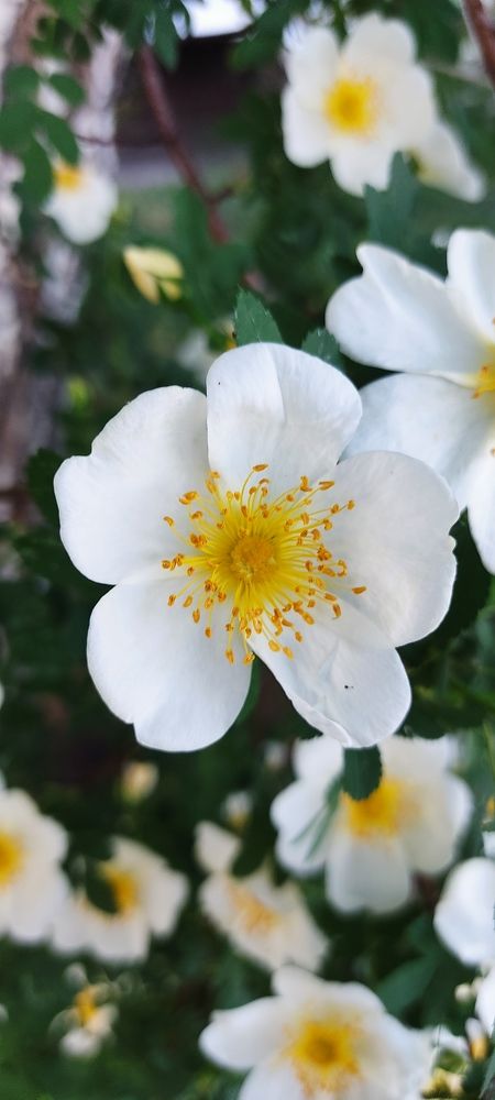 Photograph by Валентин Волк