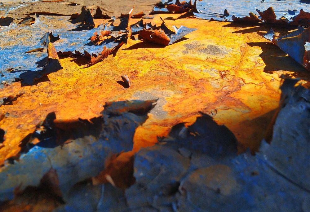 Photograph by Анна Матецкая