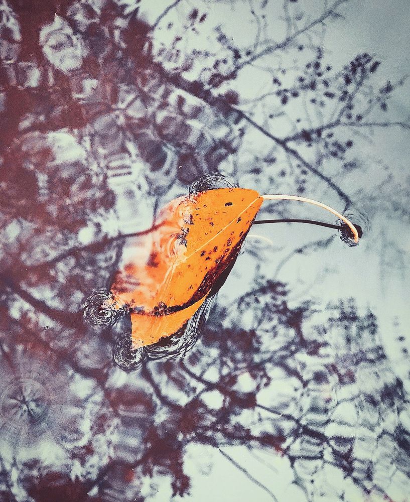 Photograph by Татьяна Волохова