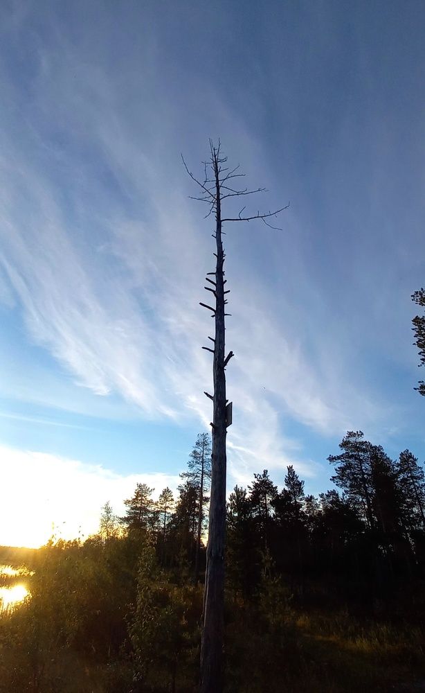 Фотография автора Евгения Зайцева
