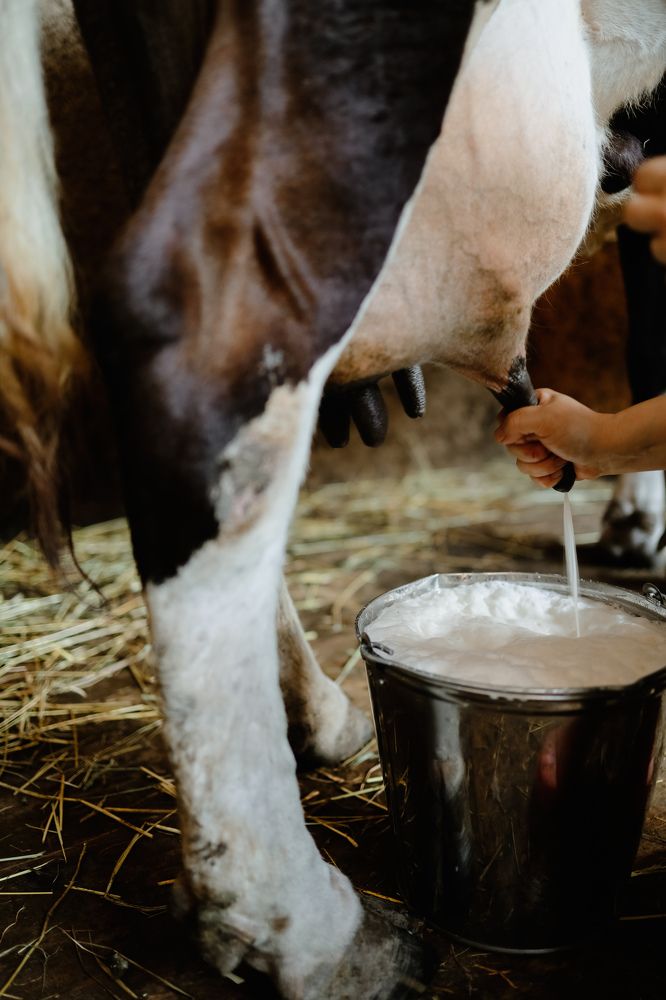 Photograph by Ольга Носкова