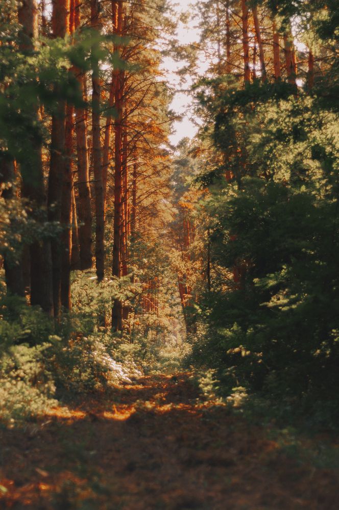 Photograph by Ольга Глущенко