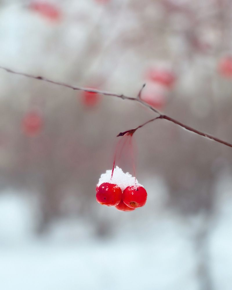 Photograph by Татьяна Волохова
