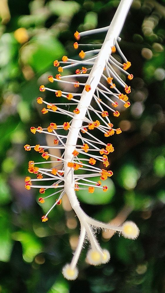 Photograph by Anup Ramesh Gharat