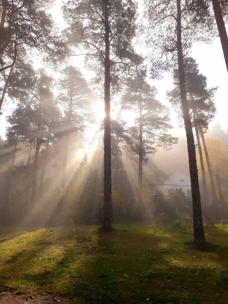 Photograph by Ирина Пичугина