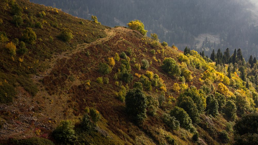 Photograph by Nikolay