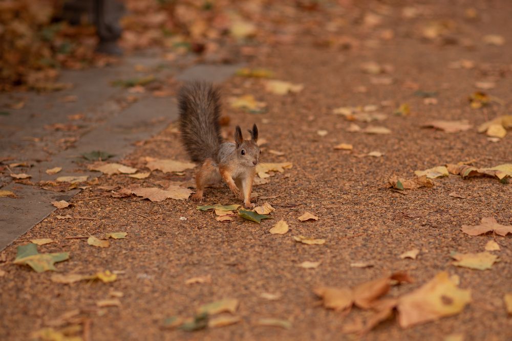 Photograph by Юлианна Волкова