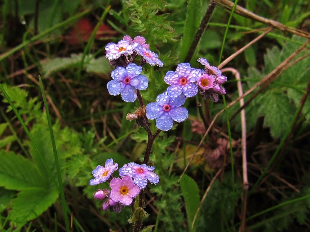 Photograph by Виктор Карпухин