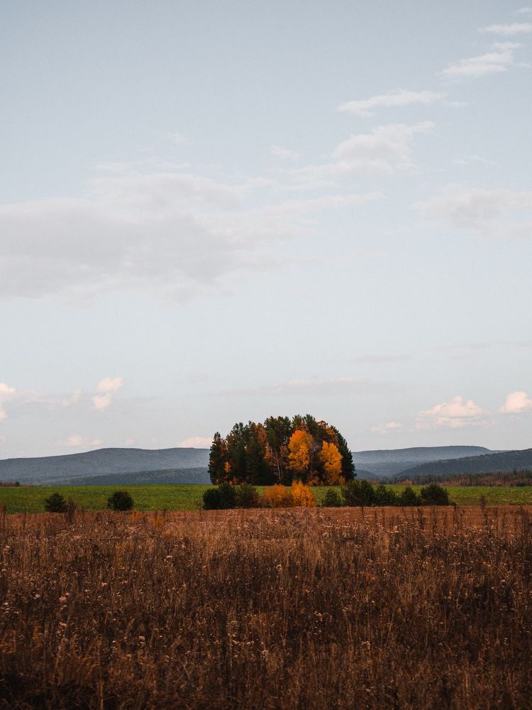 Photograph by Danil Naydyuk