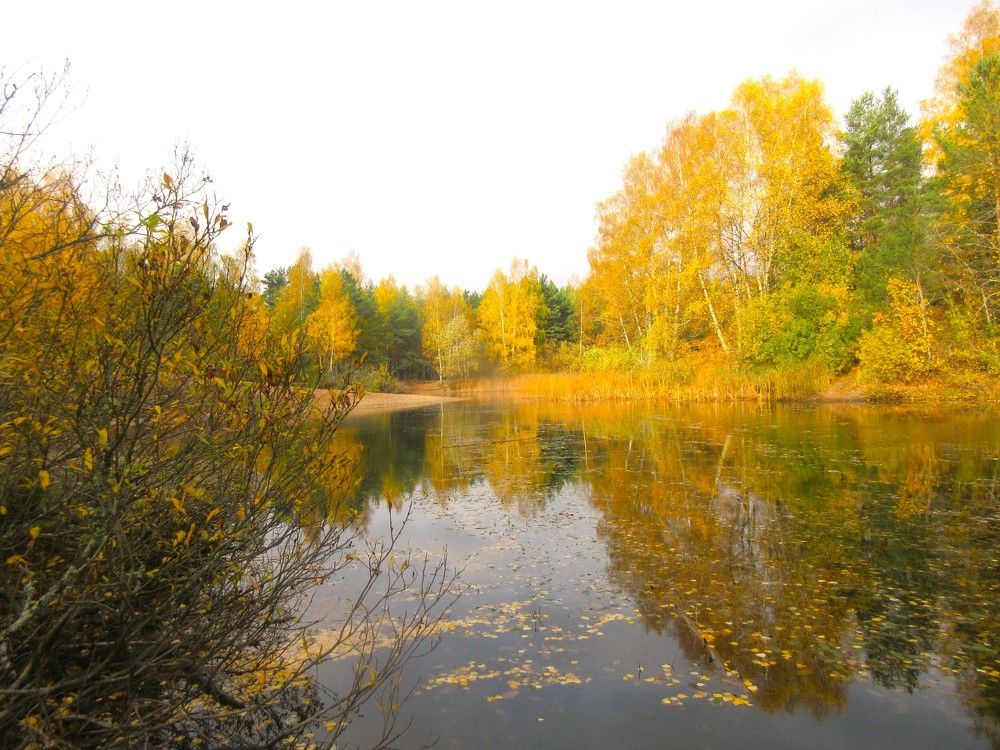 Осенний пруд