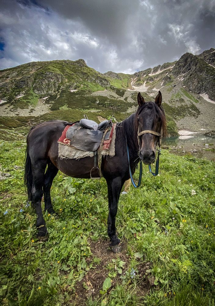 Photograph by Иван Весельников