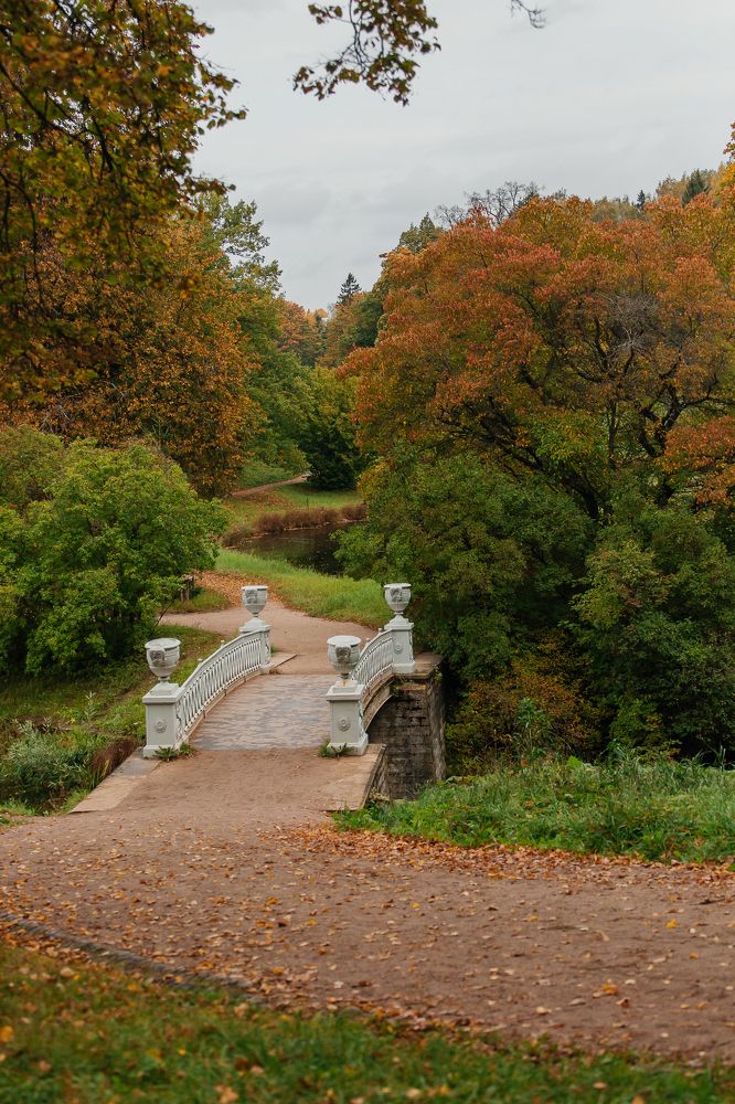Photograph by Ольга Станкова