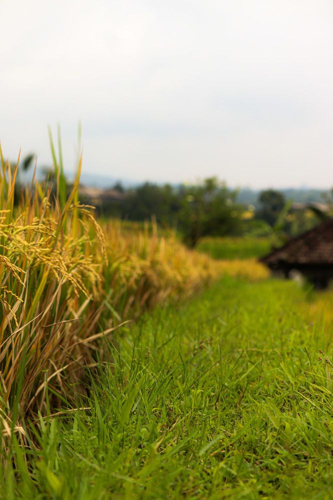 Photograph by Иван Весельников