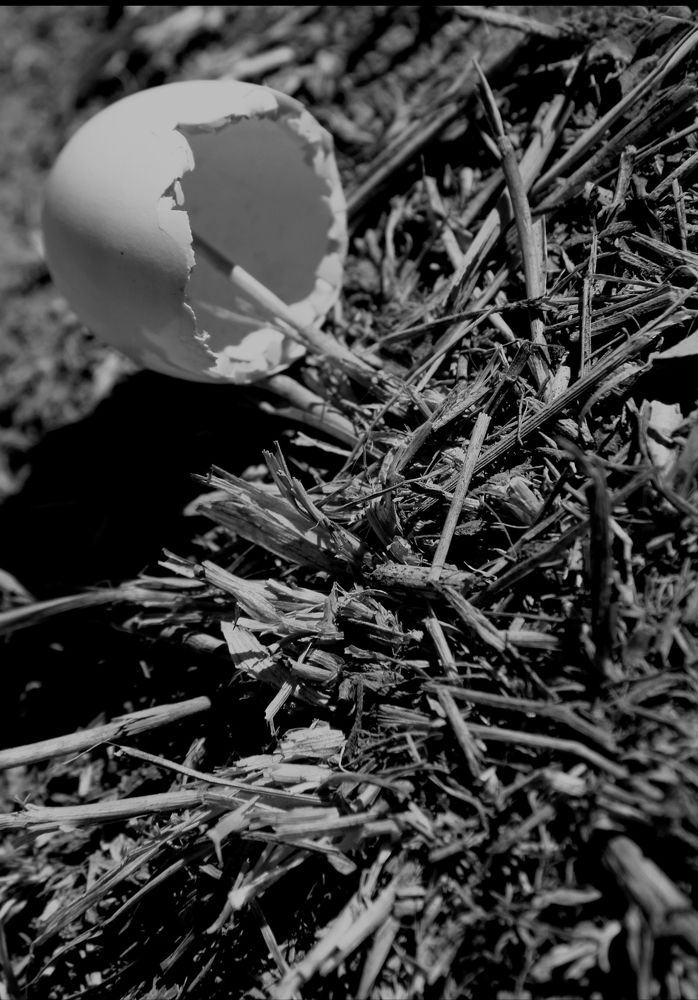 Photograph by Ирина Тихая