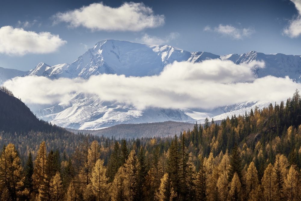 Догорающий пожар алтайских лиственниц