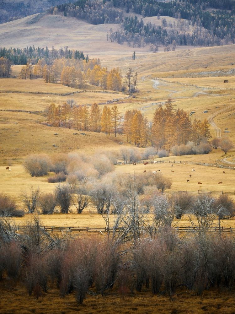 Photograph by Шаньгин Михаил