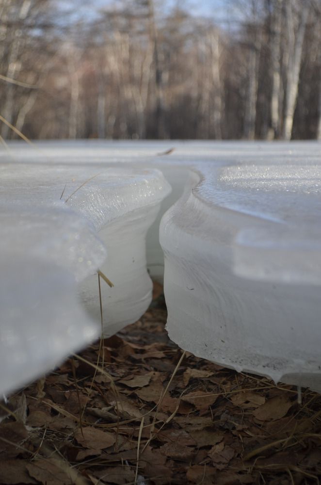 Photograph by Валерий Лапоног