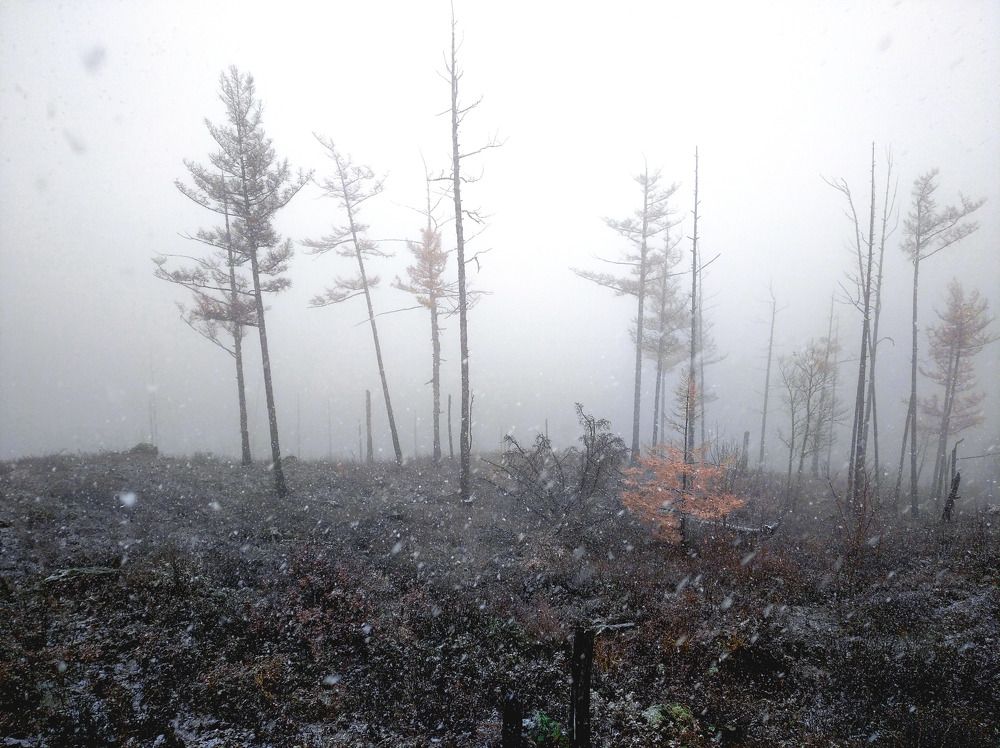 Photograph by Валерий Лапоног