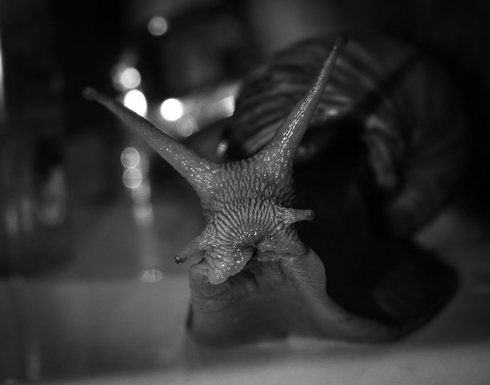 Фотография автора Ola La