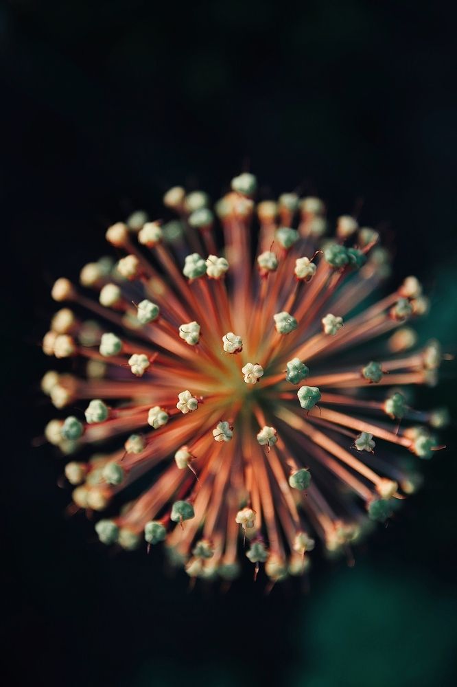 Фотография автора Наталья Боярина