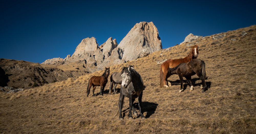 Photograph by Юрий Гаврилов