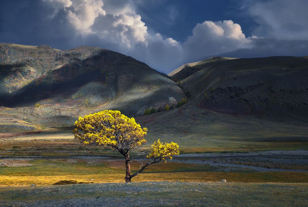 Photograph by Галина Хвостенко