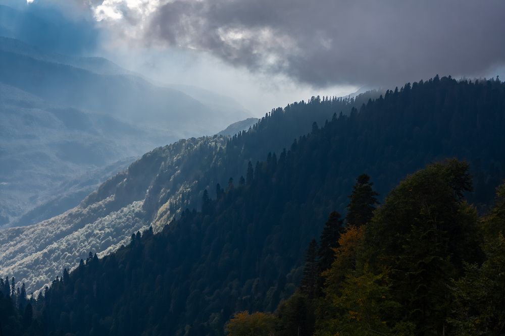 Photograph by Nikolay