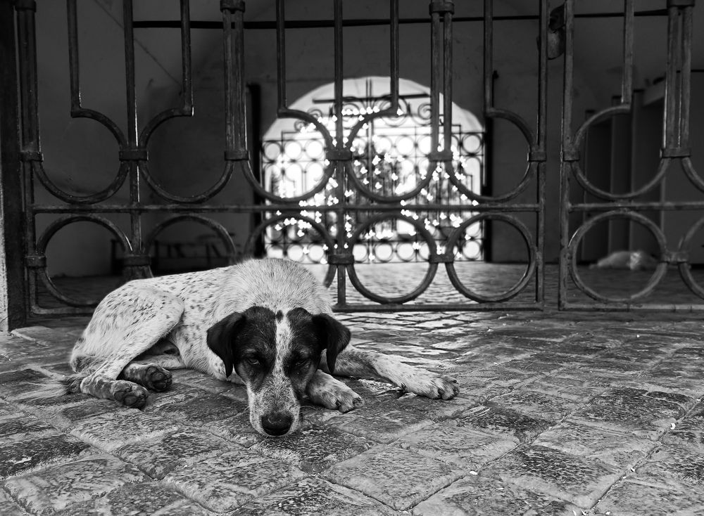 Фотография автора Ola La