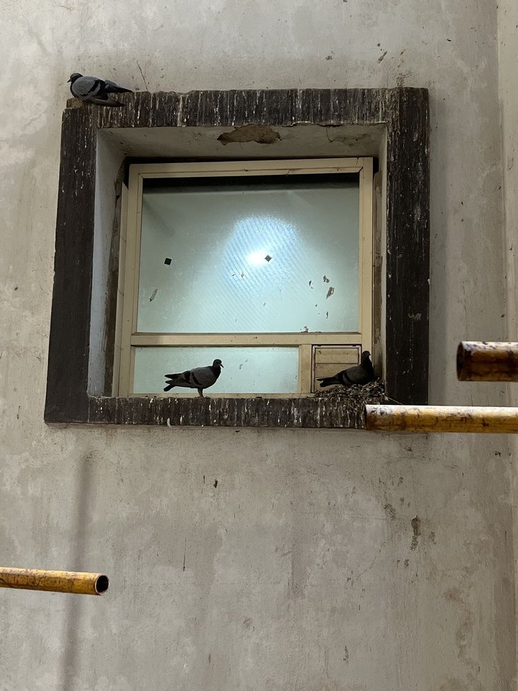 Фотография автора Atul Robin Hans