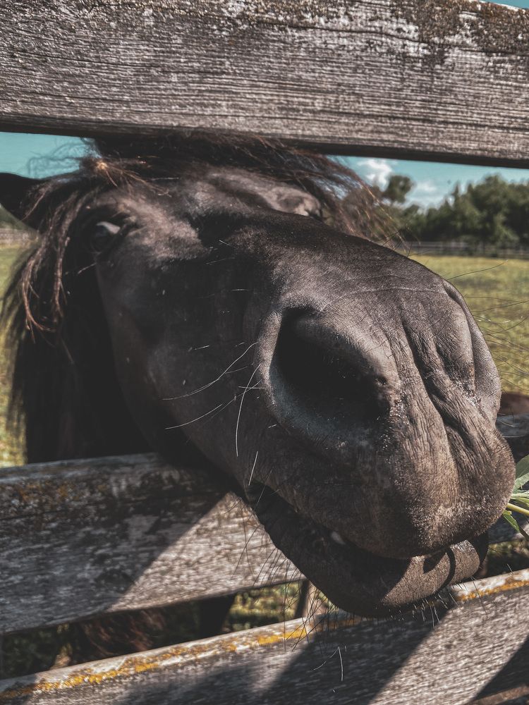 Photograph by Aлександра Чаплыгина