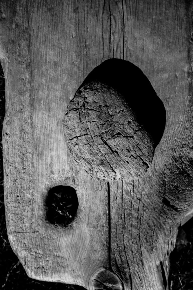 Photograph by Виктория Хадкевич