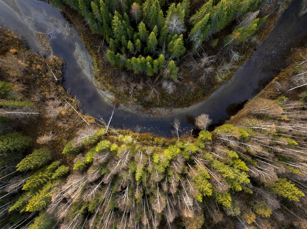 Photograph by Гончаренко Денис
