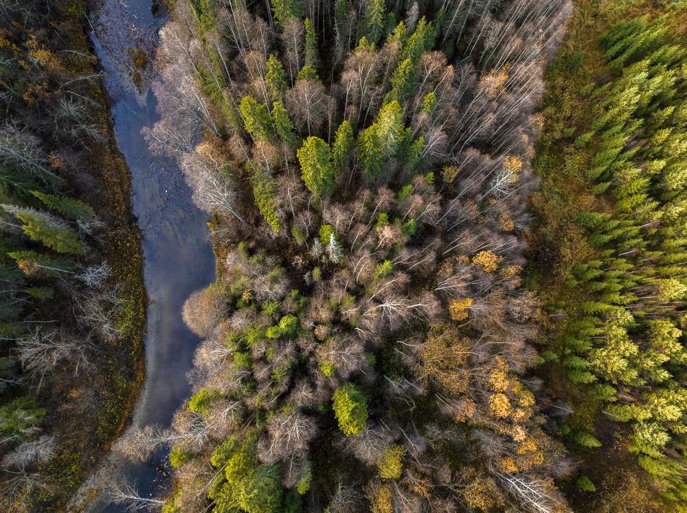 Photograph by Гончаренко Денис