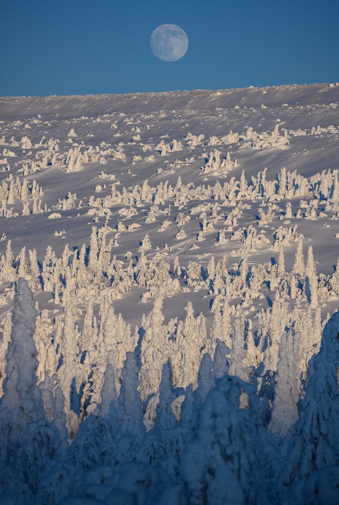 Photograph by Василий Яковлев