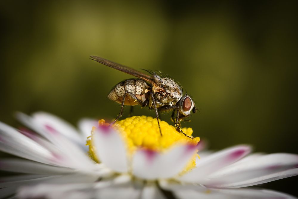 Photograph by Колесенко Иван
