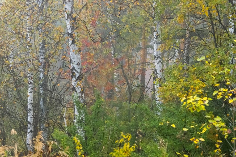 Photograph by Nadezhda