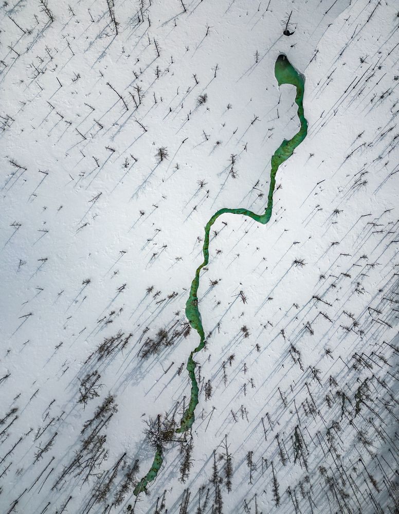 Photograph by Полякова Наталия