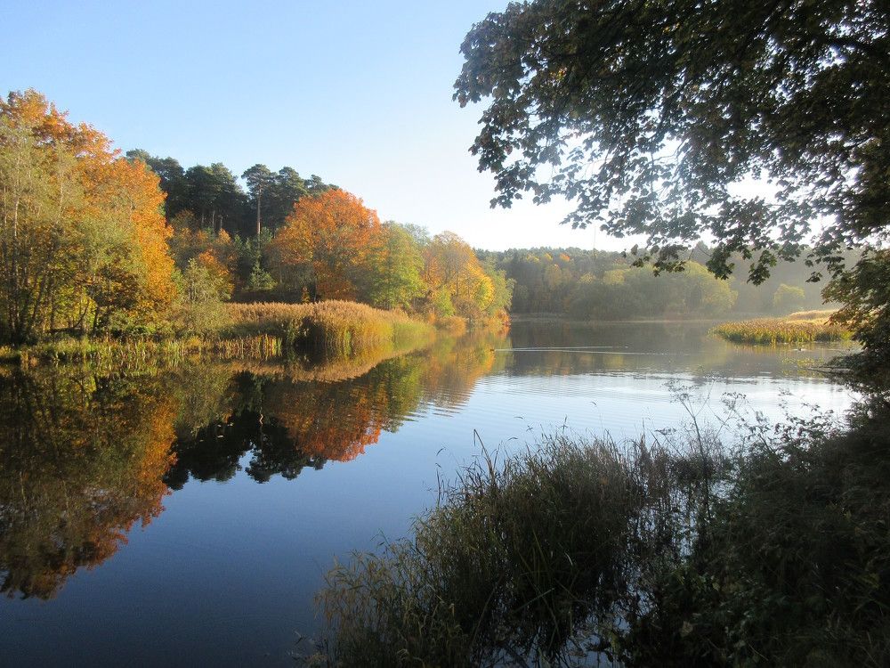 Осенняя речка Пирита