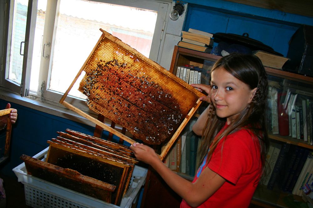 Photograph by Николай Осипенко