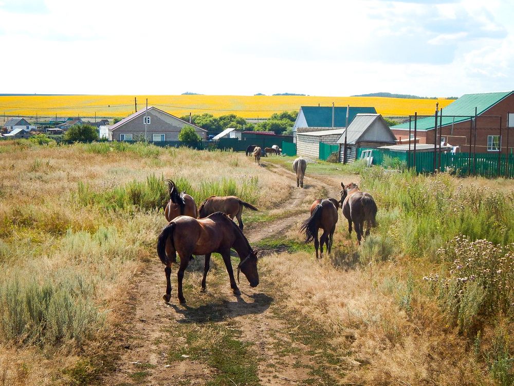 Photograph by Aлександра Чаплыгина