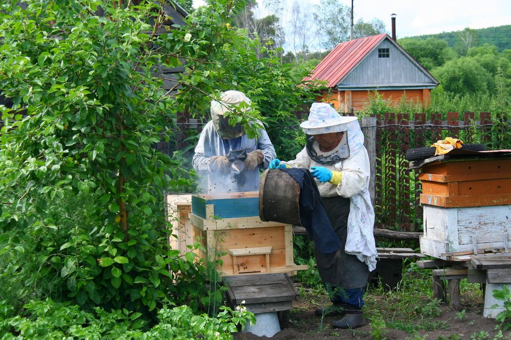 Photograph by Николай Осипенко